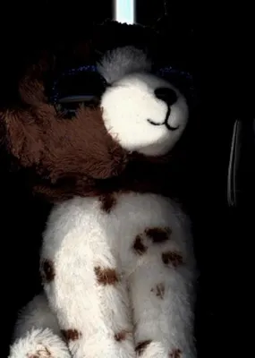Produktbild von Beanie Boos Muddles Hund 15cm Kuscheltier