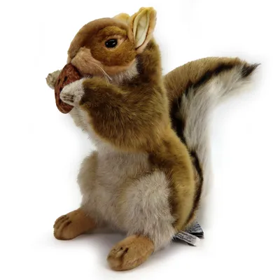 Produktbild von Hansa Creation - Kuscheltier - Eichhörnchen 23 cm