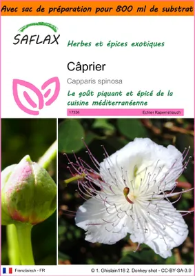 Image de SAFLAX Garden in the bag - Câprier - 25 graines - Capparis