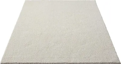 Produktbild von FLOORNOVO Hochflor Teppich Beige einfarbig - 290 x 200 cm - Besonders Weicher Teppich Wohnzimmer & Badezimmerteppich - Pflegeleicht - vielseitig einsetzbar im Innenbereich