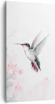Produktbild von Bild auf Leinwand - Leinwandbild - Einteilig - Kolibri Aquarell Licht - 55x100cm - Wand Bild - Wanddeko - Wandbilder - Leinwanddruck - Bilder - Wanddekoration - Leinwand bilder - PA55x100-4518