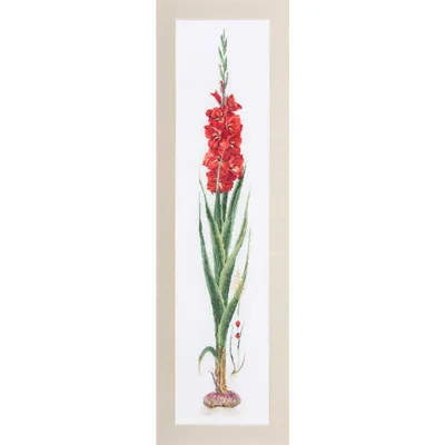 Produktbild von Thea Gouverneur Kreuzstich Stickpackung "Gladiolenrot Aida", Zählmuster, 20x88cm