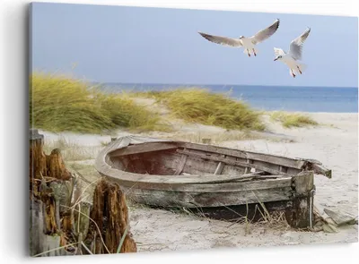 Produktbild von Bild auf Leinwand - Leinwandbild - Einteilig - Strand Möwen £ódŸ - 100x70cm - Wand Bild - Wanddeko - Wandbilder - Leinwanddruck - Bilder - Wanddekoration - Leinwand bilder - Wandbild - AA100x70-4170