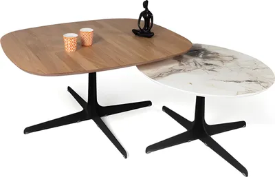 Image de Table basse Table de salon Table d'appoint Élégante Moderne
