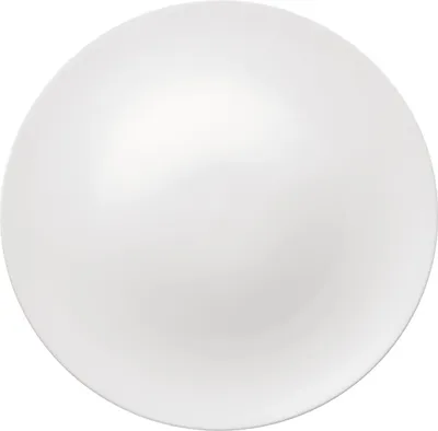 Immagine prodotto di Rosenthal Speiseteller 28 cm Jade Weiss 61040-800001-10229