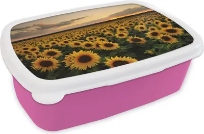 Produktbild von KitchenYeah® Lunchbox Brotzeit Brotdose 17x11 cm Sonnenblumen bei Sonnenuntergang Kinder Brotzeitdose - Lunchpaket - Brotkasten  - Sandwich Box