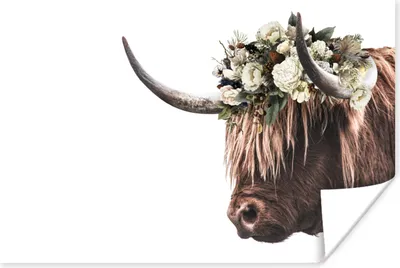 Produktbild von MuchoWow® Poster Schottischer Highlander - Kuh - Blumen 180x120 cm - Fotoplakat