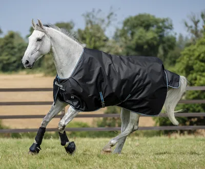 Produktbild von Bucas Anniversary Turnout Light SD 0g