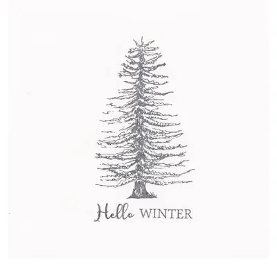 Productafbeelding van Clayre & Eef servetten, papier, set van 20, 33x33 cm, wit, papier, wintermotief