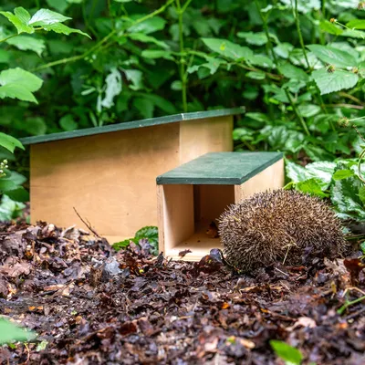 Produktbild von CJ Wildlife Igelhaus Winterfest - 90° Eingangstunnel - Holz ( 100%) - für Igel - Klickaufbau, empfohlen von Naturschutzorganisationen