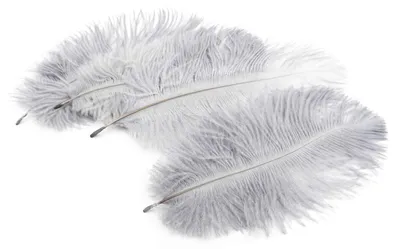 Produktbild von Vintageparts Federn Naturfedern grau 15-20cm, 4 Stück