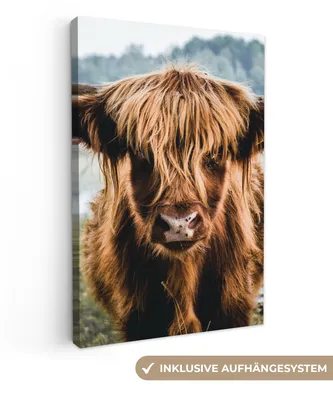 Produktbild von MuchoWow® - Leinwandbilder - Kühe - Schottische Hochlandbewohner - Braun - Natur, Wandbild, Wanddeko Bilder Wohnzimmer, 60x90cm