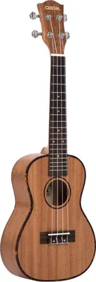 Zdjęcie produktu dla Zestaw mahoniowego ukulele koncertowego (w tym 4 metody językowe (DE/EN/FR/ES), wyściełany pokrowiec, 3 kostki, tuner)**