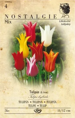 Image de Tulipe à fleurs de lys, assortiment de 5