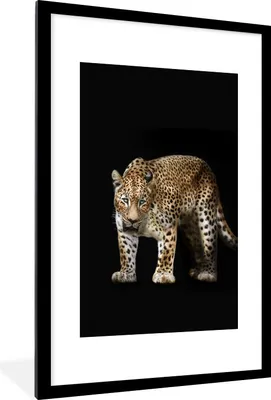 Produktbild von MuchoWow® Gerahmtes Poster Leopard - Schwarz - Tiere 60x90 cm - Poster mit Schwarzem Bilderrahmen Wandposter Rahmen Foto Bilder - Dekoration - Wandposter Wohnzimmer - Hochwertig