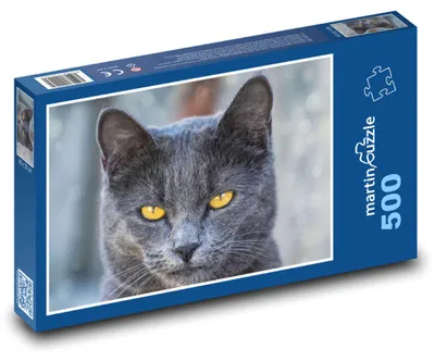 Obrázok produktu pre Puzzle 500 Sivá mačka s hypnotizujúcimi očami - martinpuzzle