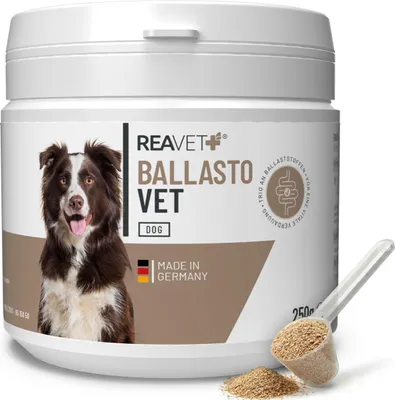 Produktbild von REAVET BallastoVET für Hunde 250g – Ballaststoff-Komplex zur Unterstützung der Darmfunktion, bei Neigung zu Verstopfung & festem Kot, Verdauungshilfe Pulver