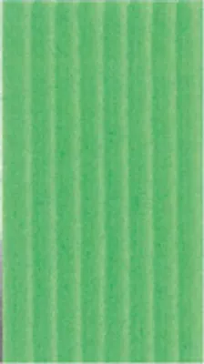 Produktbild von Clairefontaine Pack 10 Bögen Wellpappe, 50x70cm, 300g - Wiesengrün 195621C