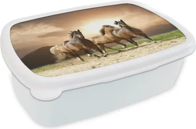 Produktbild von KitchenYeah® Lunchbox Brotzeit Brotdose 17x11 cm Pferde - Sand - Sommer Kinder Brotzeitdose - Lunch Box - Kinder - Sandwich-Box - Schulbox - Lunch Boxen