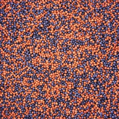 Immagine prodotto di Zuccherini all'arancia e al cioccolato, granelli, 50 g