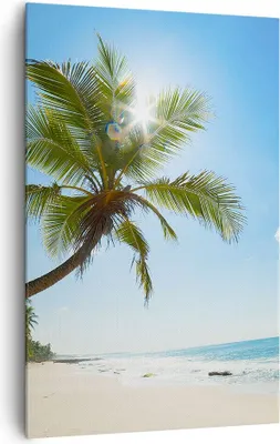 Produktbild von Bild auf Leinwand - Leinwandbild - Einteilig - Strand Palme Meer - 80x120cm - Wand Bild - Wanddeko - Wandbilder - Leinwanddruck - Wanddekoration - Leinwand bilder - Wandbild - PA80x120-3570