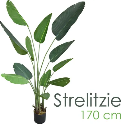 Image de Bananier Plante Artificielle Artificiel avec Pot 170 cm Decovego