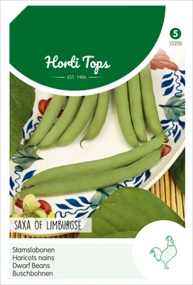 Produktbild von Buschbohnen Saxa (100 g) | Buschbohnensamen von Hortitops