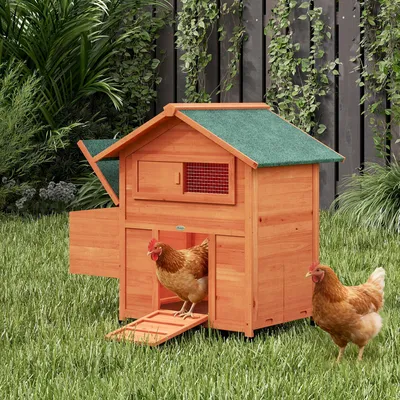 Produktbild von Hühnerstall Holz mit Nistkasten, HühnerhausTannenholz, 2 Sitzstangen, Rampe, Orange | 113,5 x 67,5 x 95,5 cm | Bitumendach | für 2 Hühner