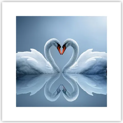 Produktbild von Poster - Poster ohne Rahmen - Ladung Dampf Wasser - 30x30 cm - Wand Bild - Wanddeko - Wandbilder - Kunstposter - Wandposter - Bilder - Kunstdruck - Wanddekoration - Wandbild - P2XAC30x30-3541
