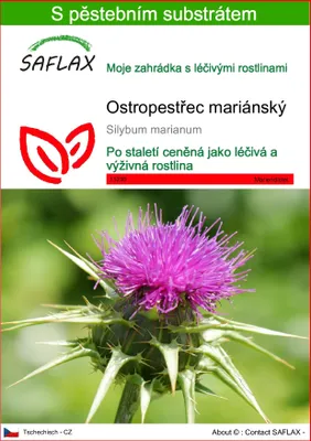 Obrázek produktu pro SAFLAX - ostropestřec mariánský - Silybum marianum - 75 Semena - S pěstebním substrátem bez klíčků