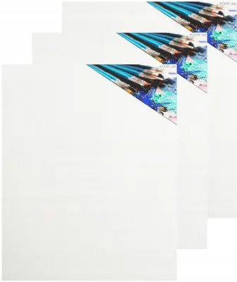 Produktbild von PE Malplatten Leinwand 40x50 cm Set 3 Stück