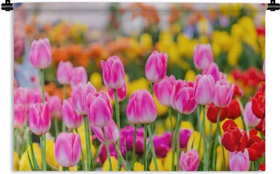 Produktbild von MuchoWow® Wandteppich Wandbehang Tulpen - Farben - Frühling 60x40 cm Tapisserie Dekoration Wandtuch - Wanddekorationen