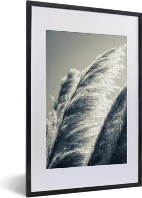 Produktbild von MuchoWow® Gerahmtes Poster Pampasgras - Schwarz - Weiß - Natur 40x60 cm - Poster mit Schwarzem Bilderrahmen Wandposter Rahmen Foto Bilder - Poster in Rahmen