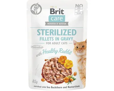Obrázek produktu pro Cat Fillets Gravy Steril Healthy Rabbit 85g