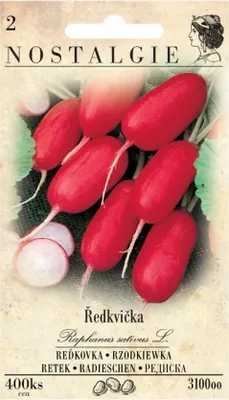 Immagine prodotto di Ravanello rosso