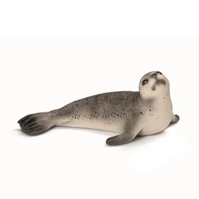Image de Schleich Phoque