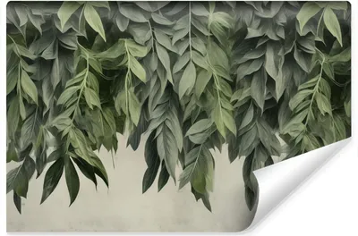 Produktbild von Muralo Vlies Fototapete grüne BLÄTTER Pflanzen Beton Wandtapete 368 cm x 254 cm
