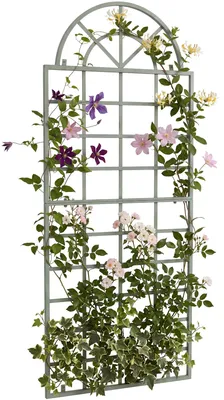Produktbild von CLP Rankgitter Viva aus Eisen mit Rundbogen und Wandhalterung für den Garten | Farbe antik-grün, KI-generiertes Bild
