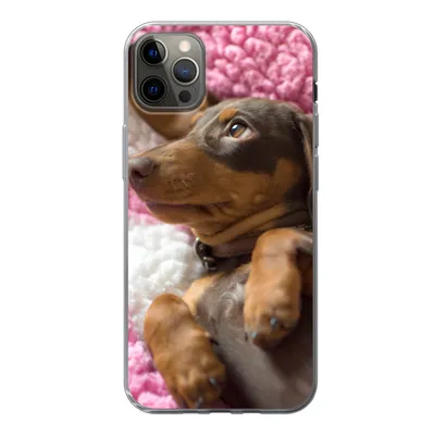 Produktbild von MuchoWow® Handyhülle Schutzhülle Hülle für iPhone 13 Pro Max Ein Dackelwelpe auf einer rosa Decke Silikon Softcase Handy Hülle - Mobiltelefon