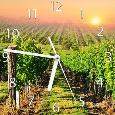 Produktbild von Wallario Design Wanduhr Weinberg mit untergehender Sonne aus Echtglas, Größe 20 x 20 cm