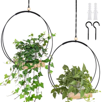 Produktbild von 2 Stück Makramee Pflanzenhänger mit Holzbasis