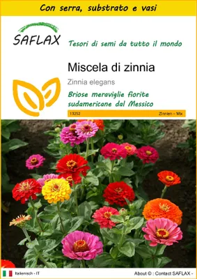 Immagine prodotto di SAFLAX Insieme di coltivazione - Miscela di zinnia - 50 semi - Zinnia
