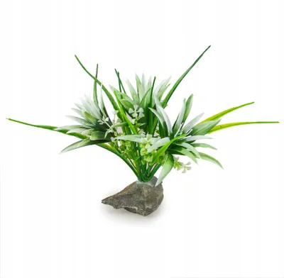 Obrázek produktu pro Akvarijní dekorace, umělá akvarijni rostlina, přírodní kámen, dekorace do akvária, 20 cm, zelená