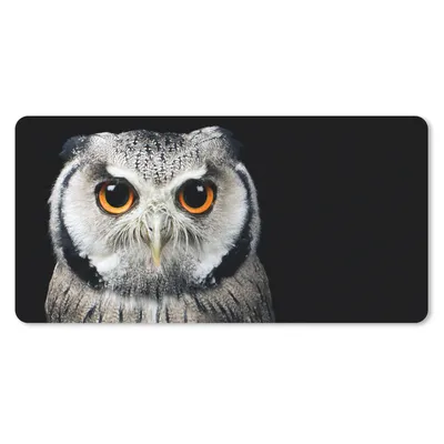 Produktbild von MuchoWow® Schreibtischunterlage Nahaufnahme Eule 80x40 cm - XXL Mauspad - Gaming Mauspad