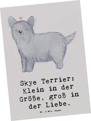 Produktbild von Mr. & Mrs. Panda bildkarte Skye Terrier Liebe - Grau Pastell - Geschenk, Hunderassen, Ansichtskarten, Grußkarte, Kunstkarten, große, Sprüche für Hundeliebhaber, Postkarte