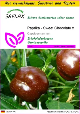 Produktbild von SAFLAX Anzucht Set - Paprika - Sweet Chocolate x - Capsicum annum - 10 Samen - Mit Mini-Gewächshaus, Anzuchtsubstrat und 2 Töpfen