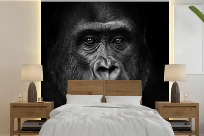 Produktbild von MuchoWow® Fototapete für Wohnzimmer oder Schlafzimmer Wandtapete Vinyl Motivtapete Gorilla - Schwarz - Weiß - Tiere - Porträt - 240x240 cm - Schlafzimmer-Tapete