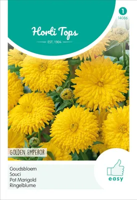 Artikelbild 2 von 'Ringelblume Golden Emperor' aus der Kategorie Ringelblumensamen