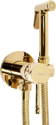 A close-up studio shot of a gold bidet sprayer set against a white background.