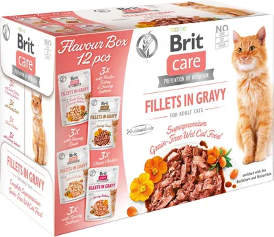 Produktbild von Brit Care Cat Adult Fillets in Soße Katzenfutter 12x85g